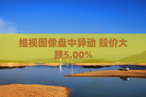 维视图像盘中异动 股价大跌5.00%