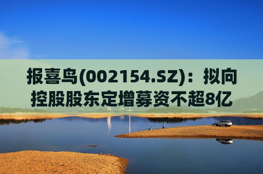 报喜鸟(002154.SZ)：拟向控股股东定增募资不超8亿元