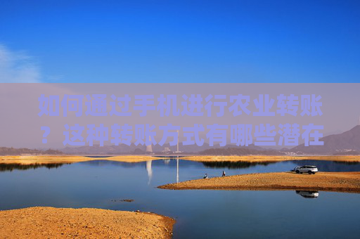 如何通过手机进行农业转账？这种转账方式有哪些潜在风险？