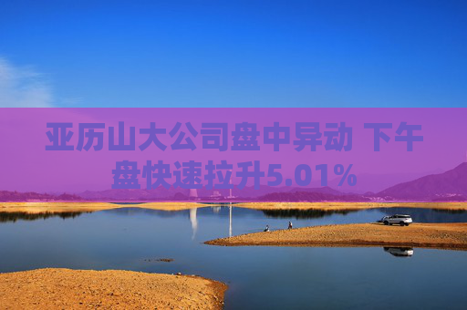 亚历山大公司盘中异动 下午盘快速拉升5.01%