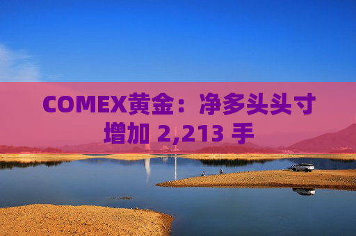 COMEX黄金：净多头头寸增加 2,213 手
