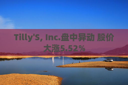 Tilly'S, Inc.盘中异动 股价大涨5.52%