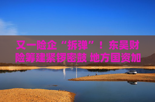 又一险企“拆弹”！东吴财险筹建紧锣密鼓 地方国资加速“化险”