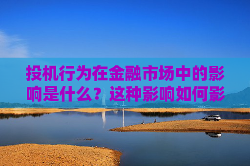 投机行为在金融市场中的影响是什么？这种影响如何影响市场稳定性？