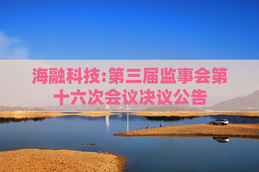 海融科技:第三届监事会第十六次会议决议公告