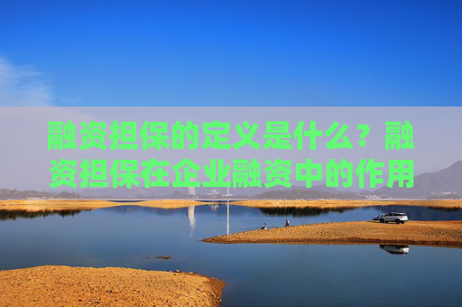 融资担保的定义是什么？融资担保在企业融资中的作用和风险是什么？
