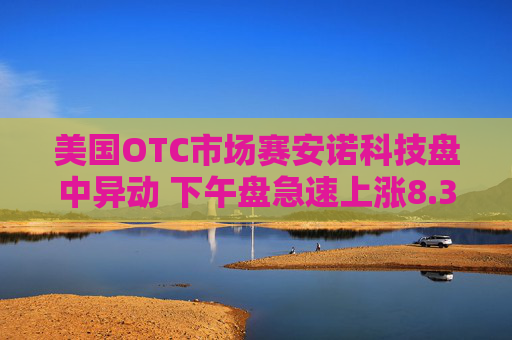 美国OTC市场赛安诺科技盘中异动 下午盘急速上涨8.37%报0.760美元