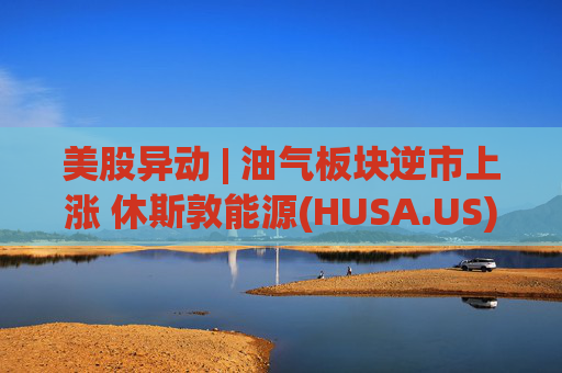 美股异动 | 油气板块逆市上涨 休斯敦能源(HUSA.US)涨超20%