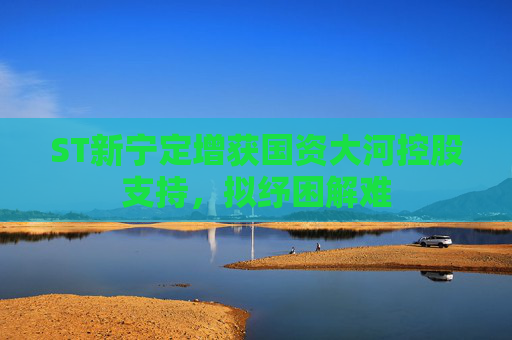 ST新宁定增获国资大河控股支持，拟纾困解难