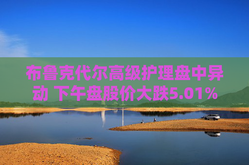 布鲁克代尔高级护理盘中异动 下午盘股价大跌5.01%