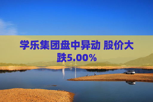 学乐集团盘中异动 股价大跌5.00%