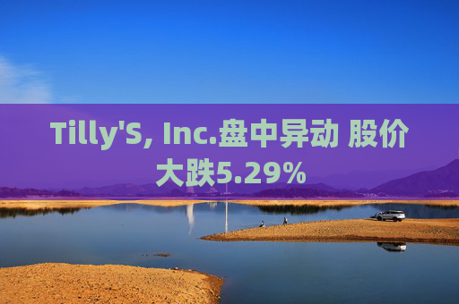 Tilly'S, Inc.盘中异动 股价大跌5.29%