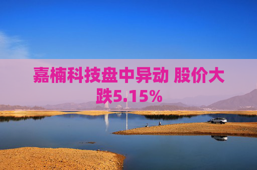 嘉楠科技盘中异动 股价大跌5.15%