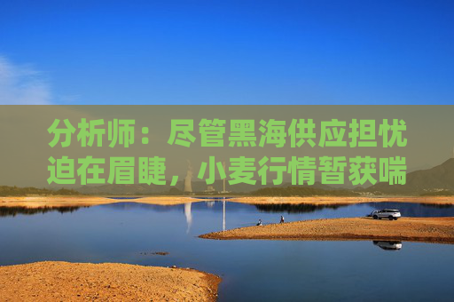 分析师：尽管黑海供应担忧迫在眉睫，小麦行情暂获喘息空间