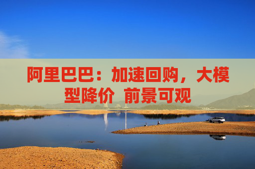 阿里巴巴：加速回购，大模型降价  前景可观