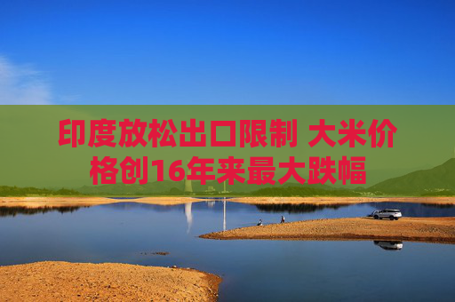 印度放松出口限制 大米价格创16年来最大跌幅