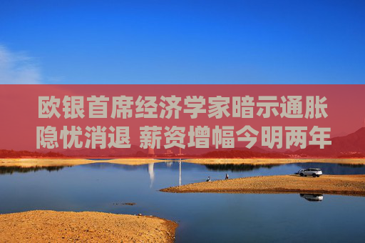 欧银首席经济学家暗示通胀隐忧消退 薪资增幅今明两年将急刹车