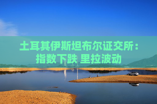 土耳其伊斯坦布尔证交所：指数下跌 里拉波动