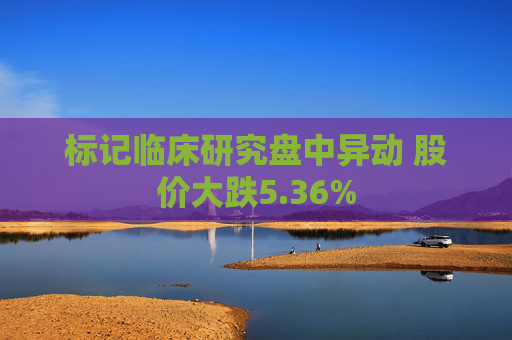 标记临床研究盘中异动 股价大跌5.36%