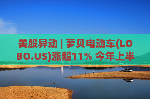 美股异动 | 萝贝电动车(LOBO.US)涨超11% 今年上半年营业收入增长49%