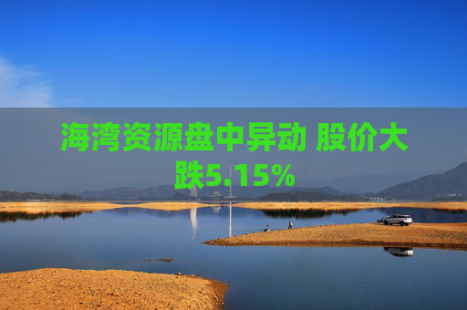 海湾资源盘中异动 股价大跌5.15%