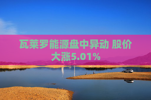 瓦莱罗能源盘中异动 股价大涨5.01%