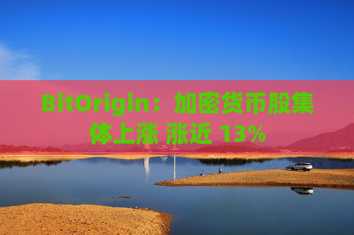 BitOrigin：加密货币股集体上涨 涨近 13%