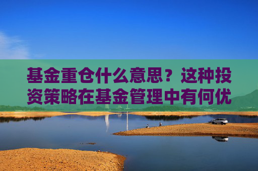 基金重仓什么意思？这种投资策略在基金管理中有何优势和风险？