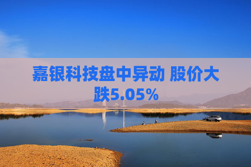 嘉银科技盘中异动 股价大跌5.05%