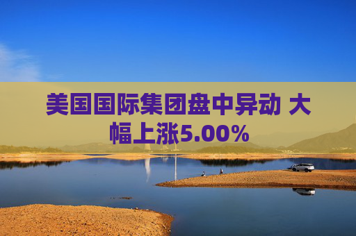 美国国际集团盘中异动 大幅上涨5.00%