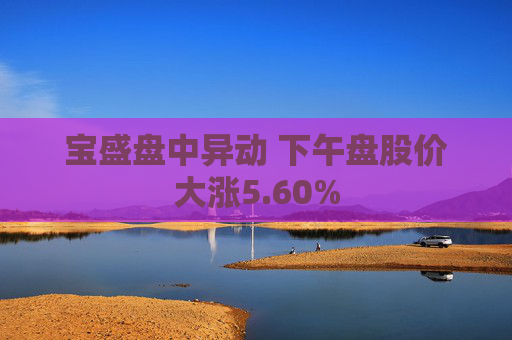 宝盛盘中异动 下午盘股价大涨5.60%