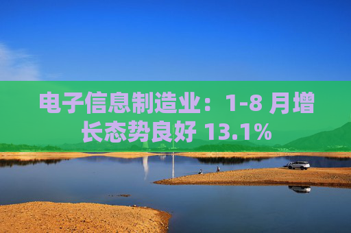 电子信息制造业：1-8 月增长态势良好 13.1%