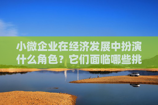小微企业在经济发展中扮演什么角色？它们面临哪些挑战和机遇？
