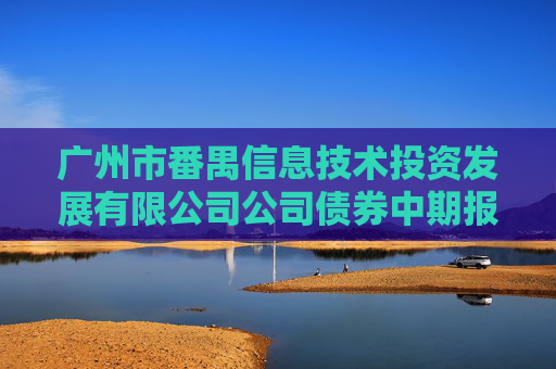 广州市番禺信息技术投资发展有限公司公司债券中期报告（2024年）