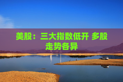 美股：三大指数低开 多股走势各异