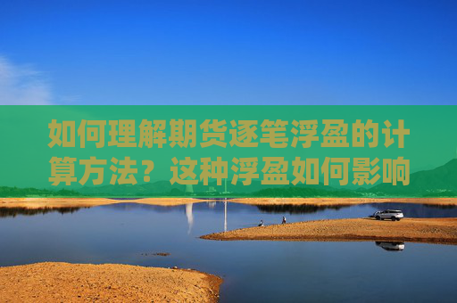 如何理解期货逐笔浮盈的计算方法？这种浮盈如何影响投资者决策？