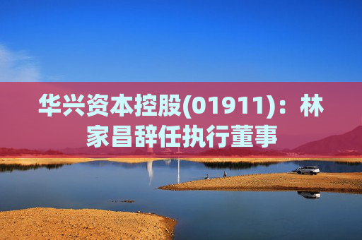 华兴资本控股(01911)：林家昌辞任执行董事