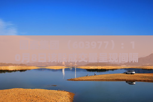 国泰集团 （603977）：10月8日该股成交量呈现间隔放量状态