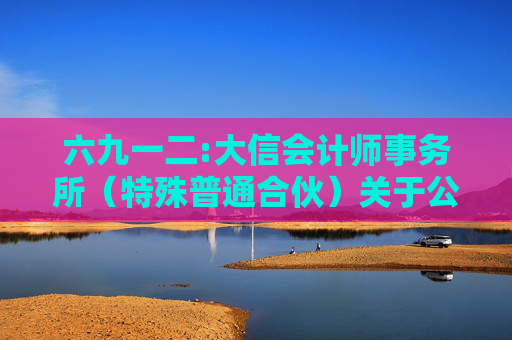 六九一二:大信会计师事务所（特殊普通合伙）关于公司首次公开发行股票并在创业板上市的财务报表及审计报告
