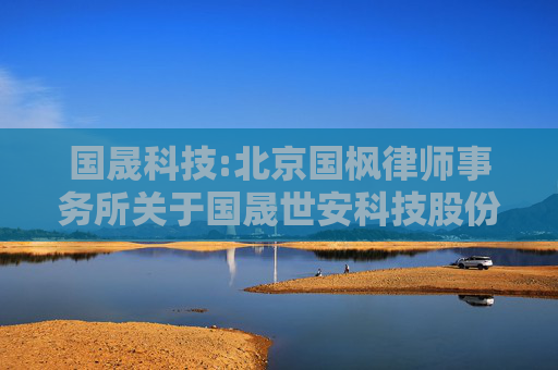 国晟科技:北京国枫律师事务所关于国晟世安科技股份有限公司2024年限制性股票与股票期权激励计划的法律意见书