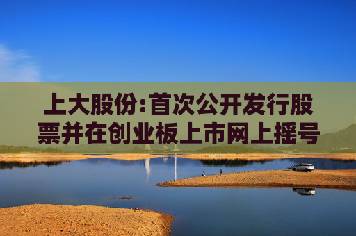 上大股份:首次公开发行股票并在创业板上市网上摇号中签结果公告