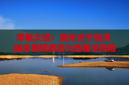 摩根大通：美元过于自满 尚未展现美国大选相关风险溢价
