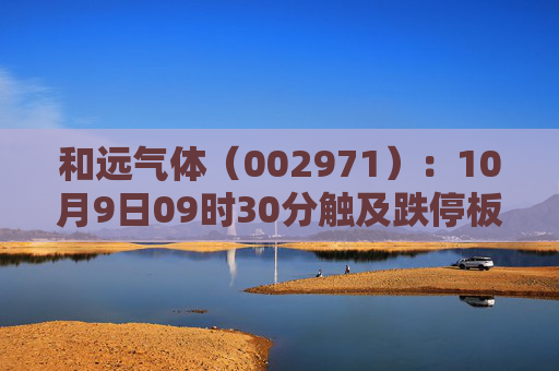 和远气体（002971）：10月9日09时30分触及跌停板