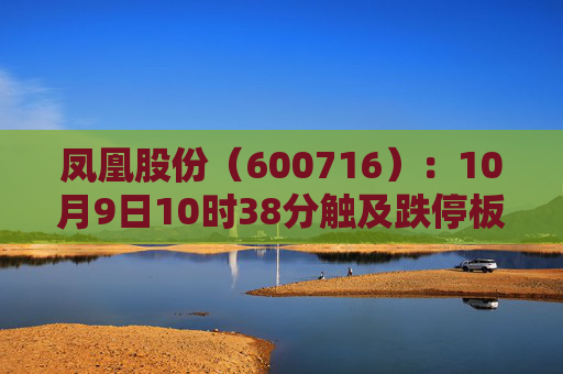 凤凰股份（600716）：10月9日10时38分触及跌停板