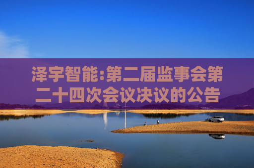 泽宇智能:第二届监事会第二十四次会议决议的公告