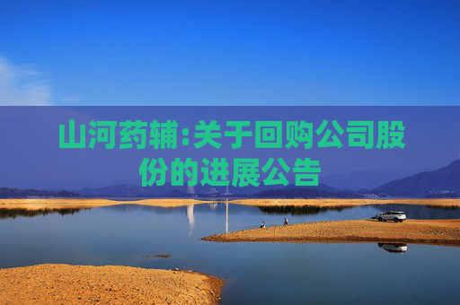 山河药辅:关于回购公司股份的进展公告