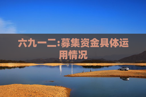 六九一二:募集资金具体运用情况