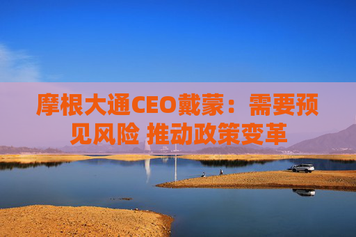 摩根大通CEO戴蒙:需要预见风险 推动政策变革