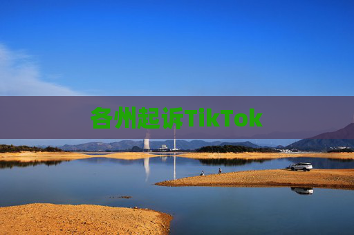 各州起诉TikTok