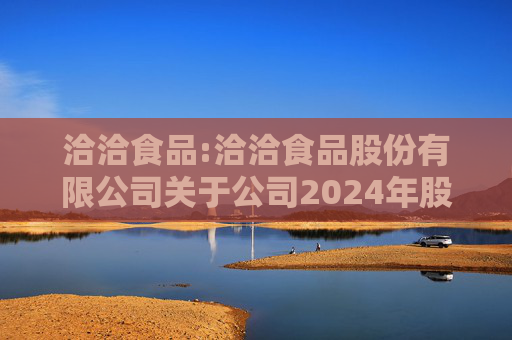 洽洽食品:洽洽食品股份有限公司关于公司2024年股票期权激励计划内幕信息知情人及激励对象买卖公司股票情况的自查报告